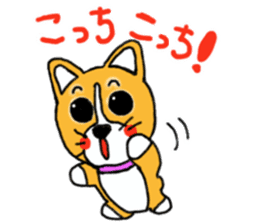 Smile! Corgi dog and rabbit. sticker #4019169
