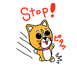 Smile! Corgi dog and rabbit. sticker #4019177