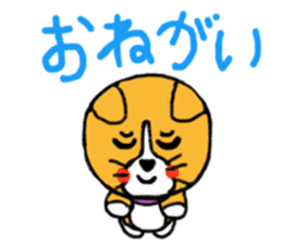 Smile! Corgi dog and rabbit. sticker #4019178