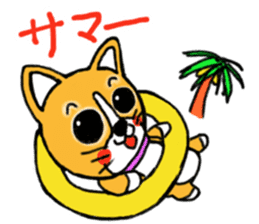 Smile! Corgi dog and rabbit. sticker #4019179