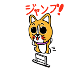 Smile! Corgi dog and rabbit. sticker #4019180