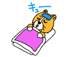 Smile! Corgi dog and rabbit. sticker #4019181