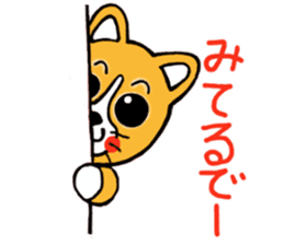 Smile! Corgi dog and rabbit. sticker #4019182