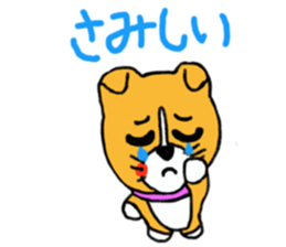 Smile! Corgi dog and rabbit. sticker #4019184