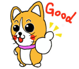 Smile! Corgi dog and rabbit. sticker #4019185