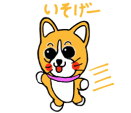 Smile! Corgi dog and rabbit. sticker #4019189