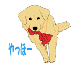 The real tea chan sticker #4020928