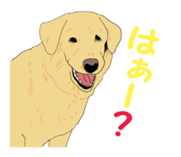 The real tea chan sticker #4020935