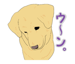 The real tea chan sticker #4020939