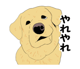 The real tea chan sticker #4020941