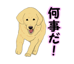 The real tea chan sticker #4020946