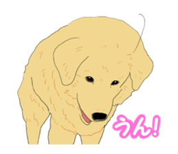 The real tea chan sticker #4020966