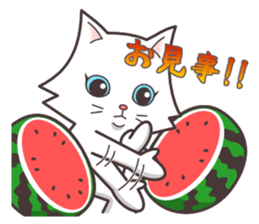 cute cat small snow(hot conversation) sticker #4021640