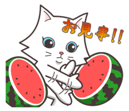 cute cat small snow(hot conversation) sticker #4021640