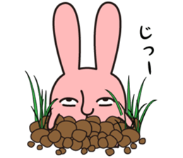 salt face rabbit sticker #4022313