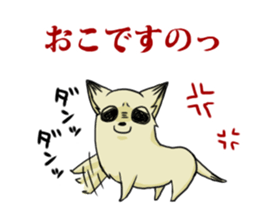 Ms. Coco of chihuahua sticker #4024618