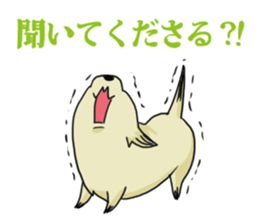 Ms. Coco of chihuahua sticker #4024619