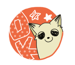 Ms. Coco of chihuahua sticker #4024621