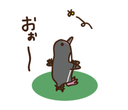 Animals of Toba aquarium sticker #4024856