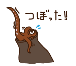 Animals of Toba aquarium sticker #4024886