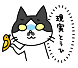 Real intention Cat "CHOBI" sticker #4025950