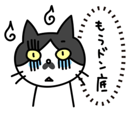 Real intention Cat "CHOBI" sticker #4025959