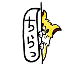 Soft cuddly Corgi's life sticker #4029450