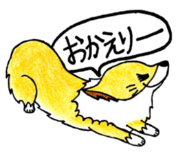 Soft cuddly Corgi's life sticker #4029452