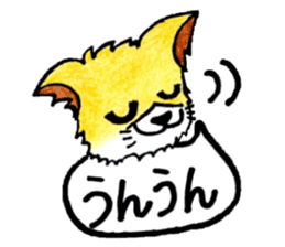 Soft cuddly Corgi's life sticker #4029470