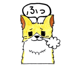 Soft cuddly Corgi's life sticker #4029477