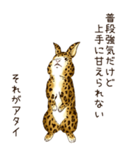 Rabbit leopard sticker #4030248