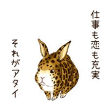 Rabbit leopard sticker #4030250