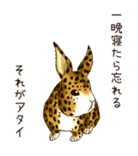 Rabbit leopard sticker #4030253