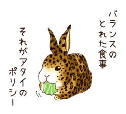 Rabbit leopard sticker #4030256