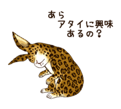 Rabbit leopard sticker #4030259