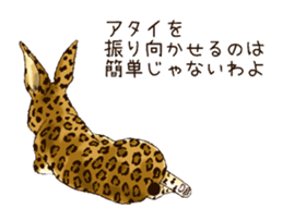 Rabbit leopard sticker #4030260