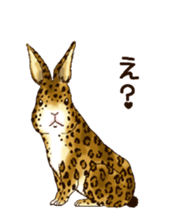 Rabbit leopard sticker #4030261