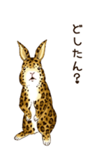 Rabbit leopard sticker #4030263