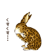 Rabbit leopard sticker #4030266