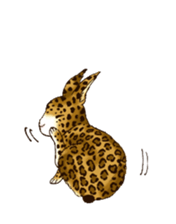Rabbit leopard sticker #4030268