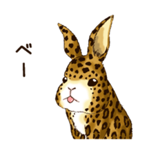 Rabbit leopard sticker #4030269