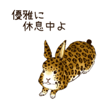 Rabbit leopard sticker #4030270