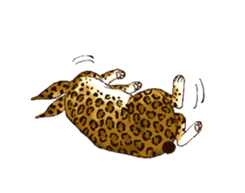 Rabbit leopard sticker #4030271