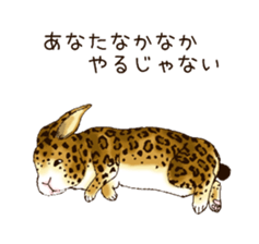 Rabbit leopard sticker #4030273