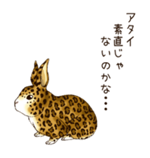 Rabbit leopard sticker #4030279