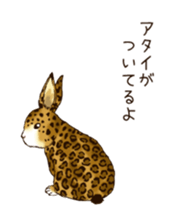 Rabbit leopard sticker #4030280