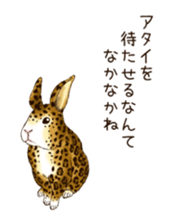 Rabbit leopard sticker #4030282