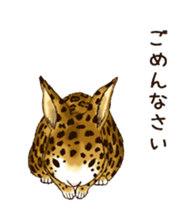 Rabbit leopard sticker #4030286