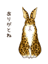 Rabbit leopard sticker #4030287