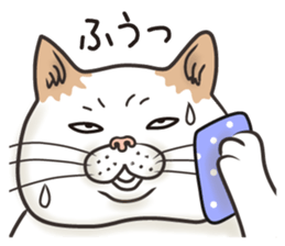 Cat Looks 3 -ugly cat sticker- sticker #4030810